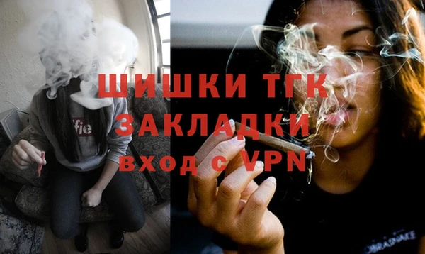 сатива Аркадак